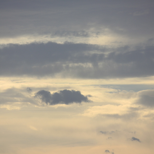 Photo #13772632