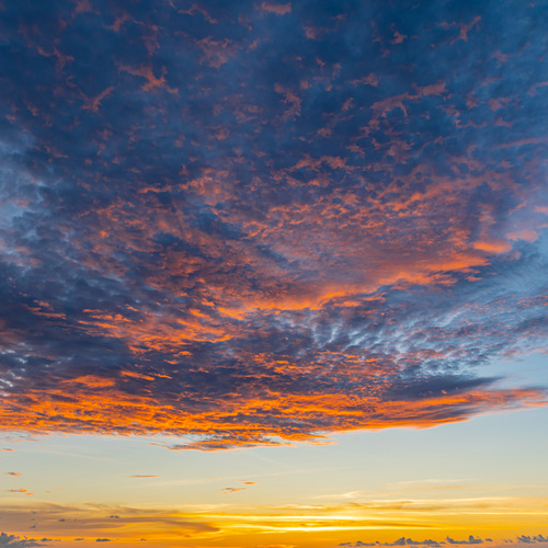 Photo #13772790