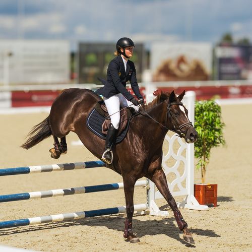 Photo #13772819