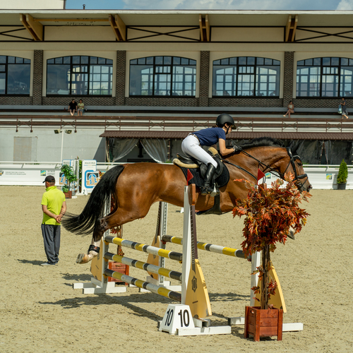 Photo #13772823