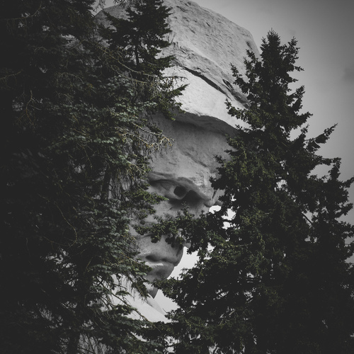 Photo #13772846