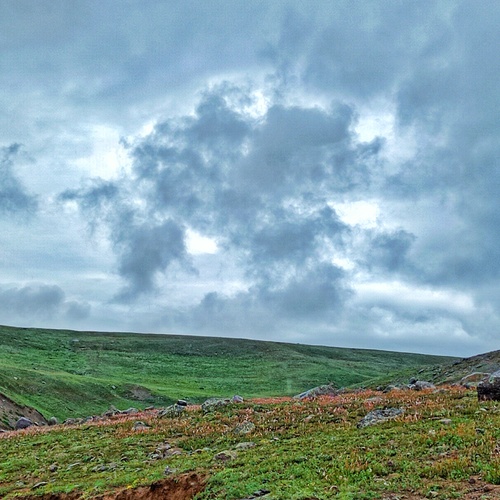 Photo #13772851