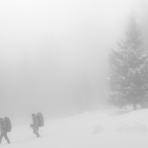 Photo #13772933