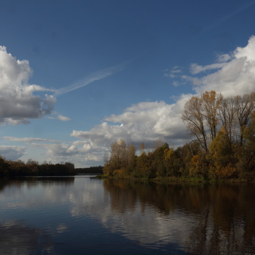 Photo #13772990