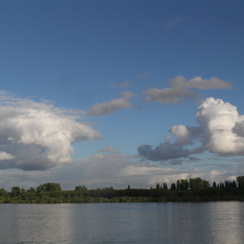 Photo #13772991