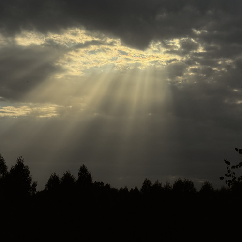 Photo #13773026