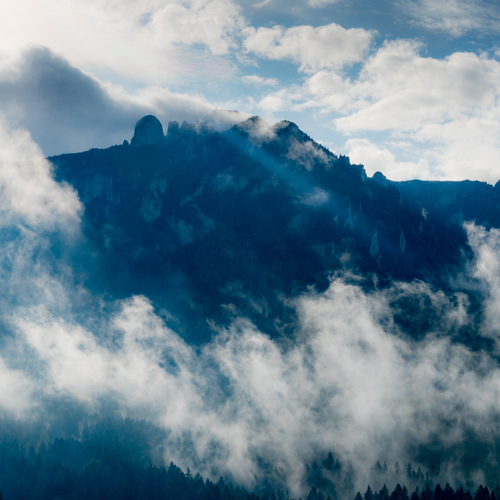 Photo #13773044