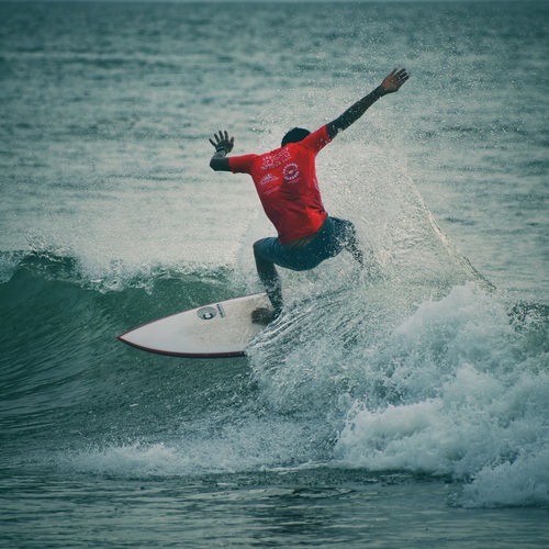 Photo #13773046