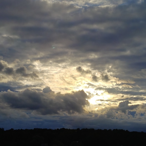 Photo #13773151