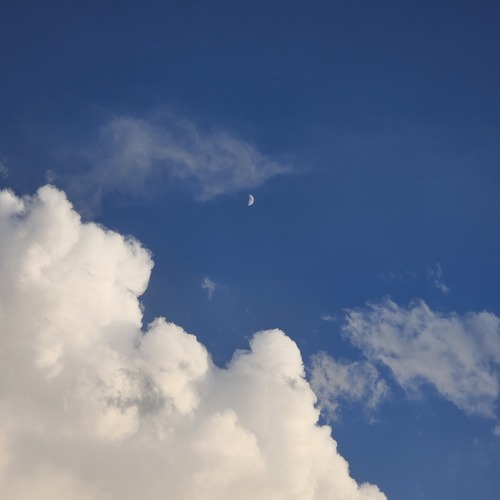 Photo #13773162