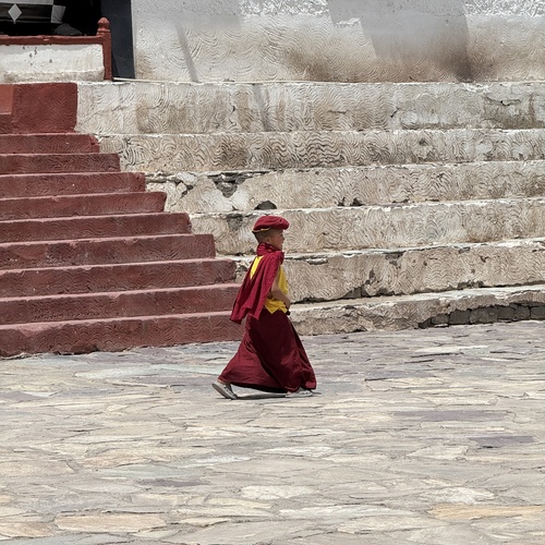Photo #13773187
