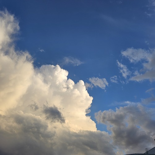Photo #13773201