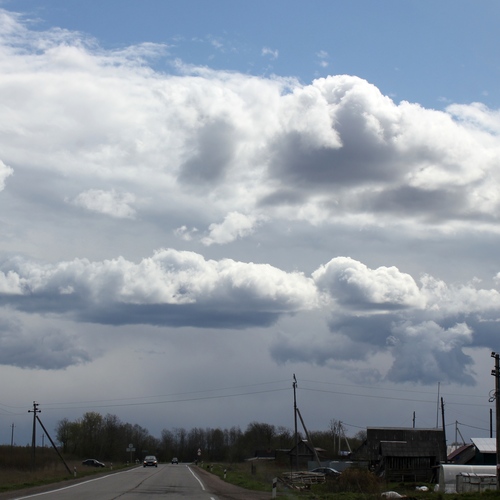 Photo #13773301