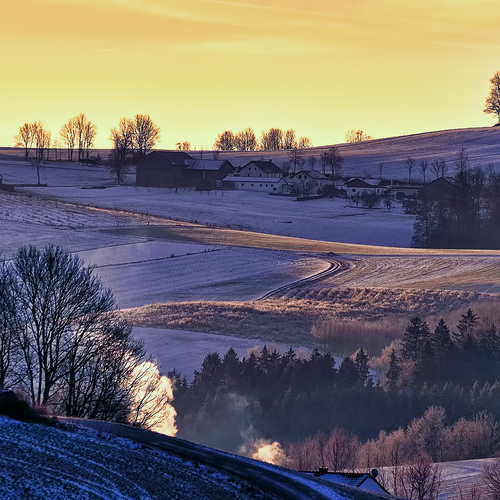 Photo #13773325