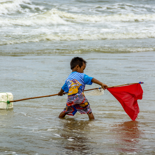Photo #13773354