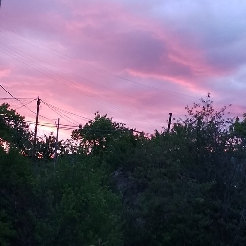 Photo #13773398