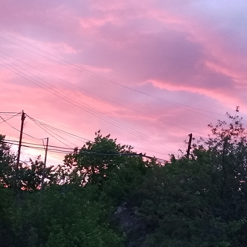 Photo #13773399