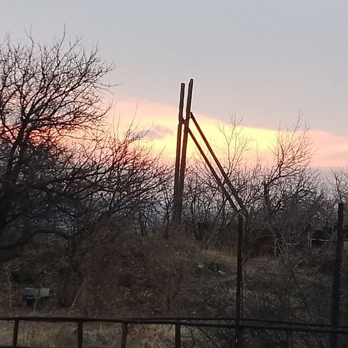 Photo #13773417