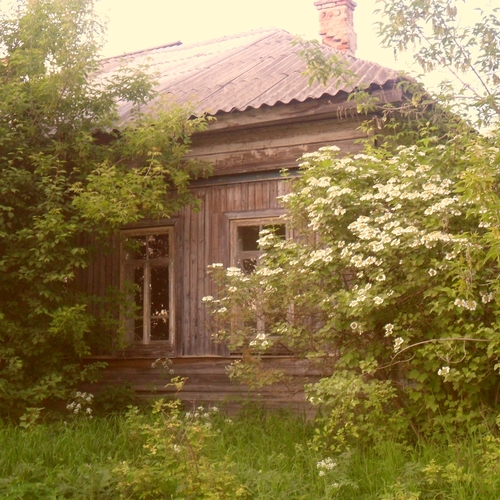 Photo #13773434