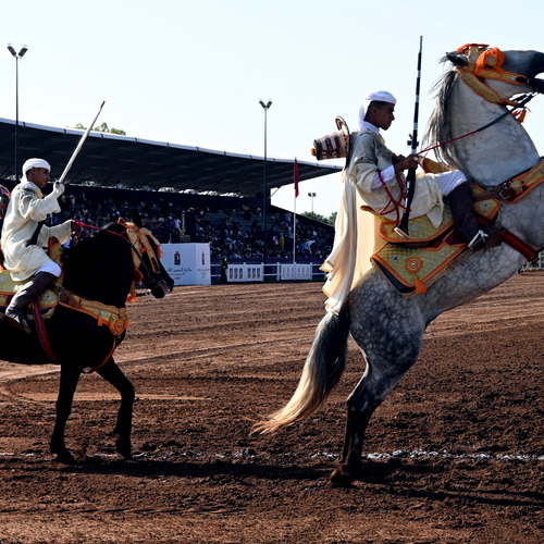 Moroccan fantasy