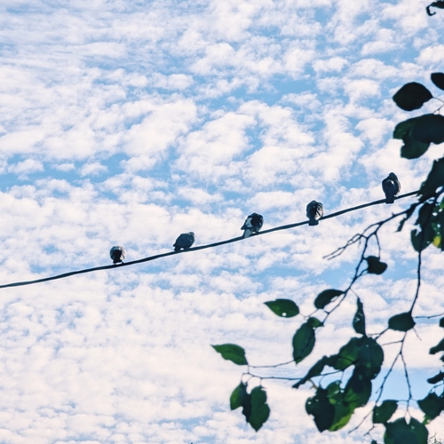 Photo #13773570