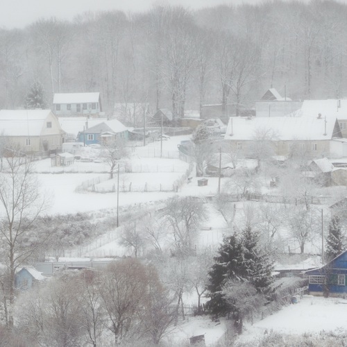 Photo #13773576