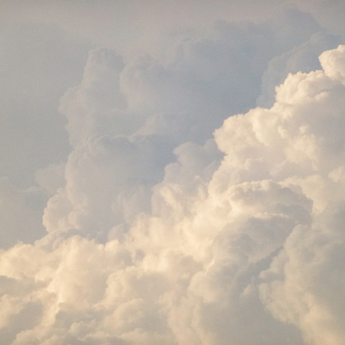 Photo #13773627