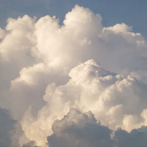 Photo #13773628
