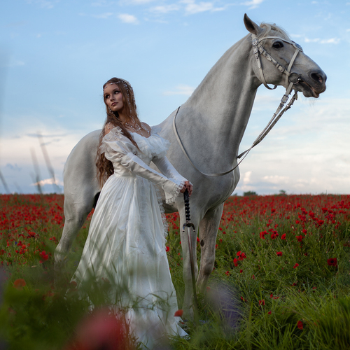 Photo #13773675