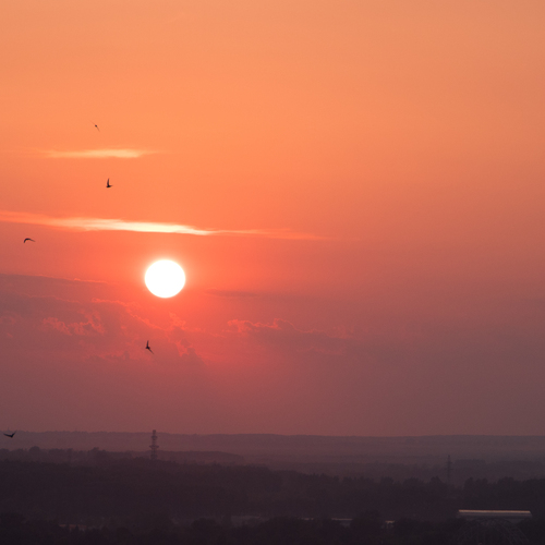 Photo #13773692