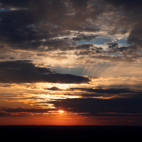 Photo #13773694