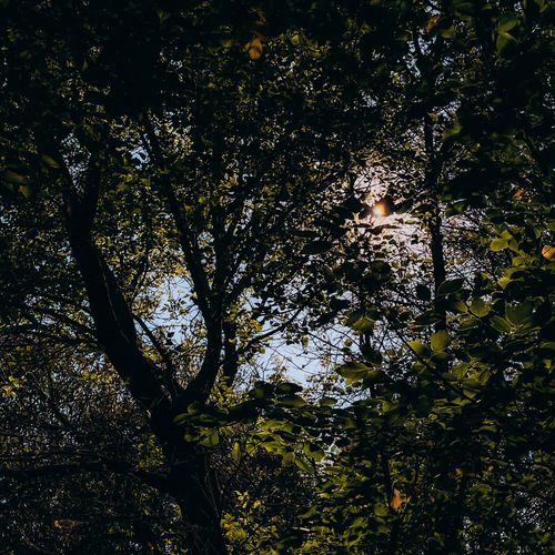 Photo #13773732