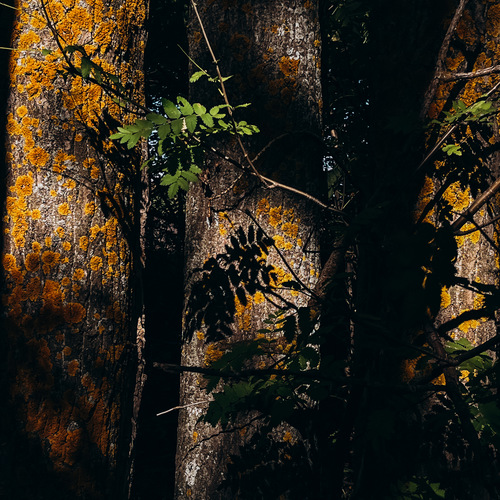 Photo #13773735