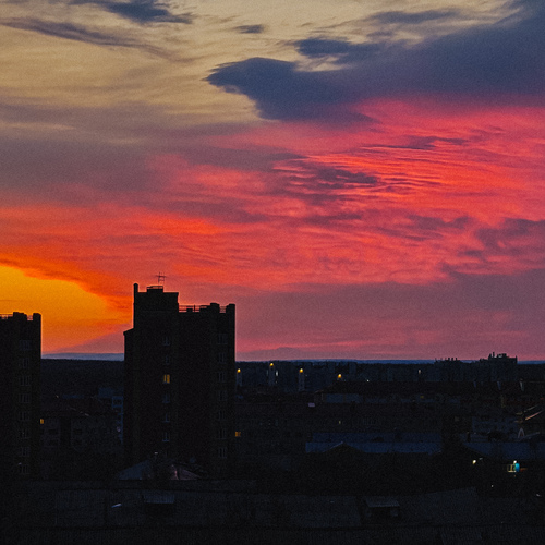 Photo #13773751