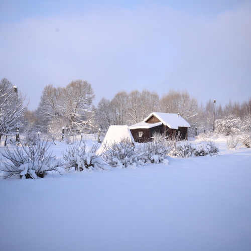 Photo #13773757