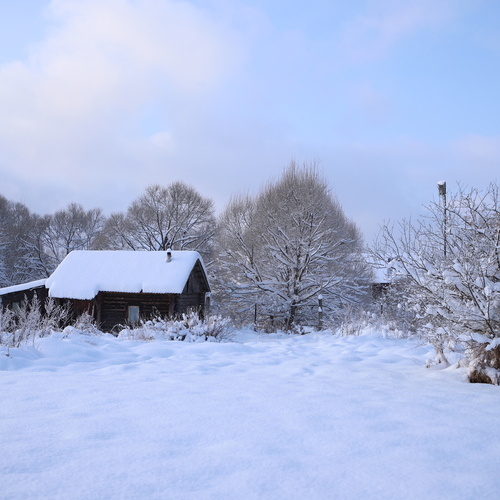 Photo #13773759