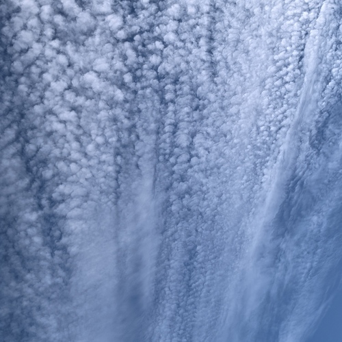 Photo #13773764