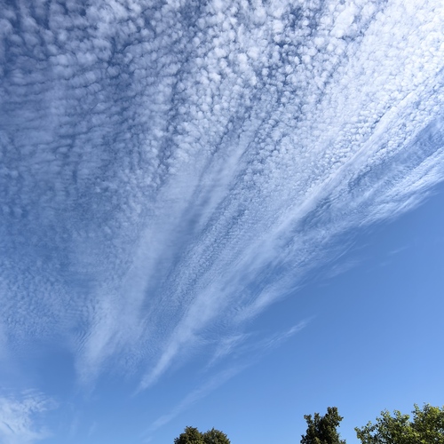Photo #13773765