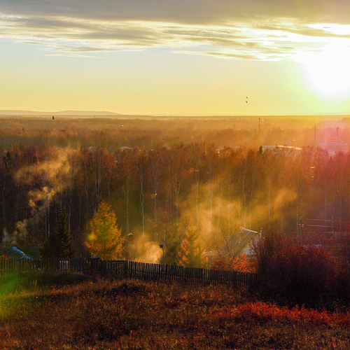 Photo #13773796
