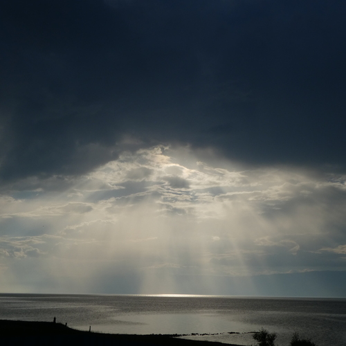 Photo #13773844
