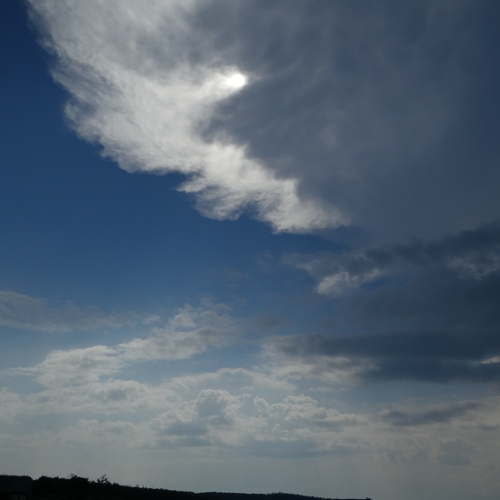 Photo #13773846