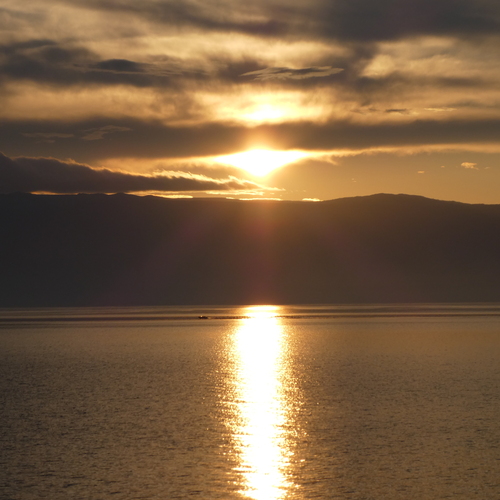 Photo #13773861