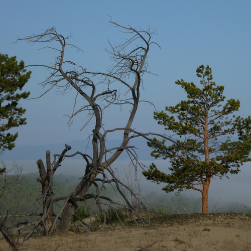 Photo #13773869