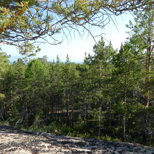 Photo #13773870