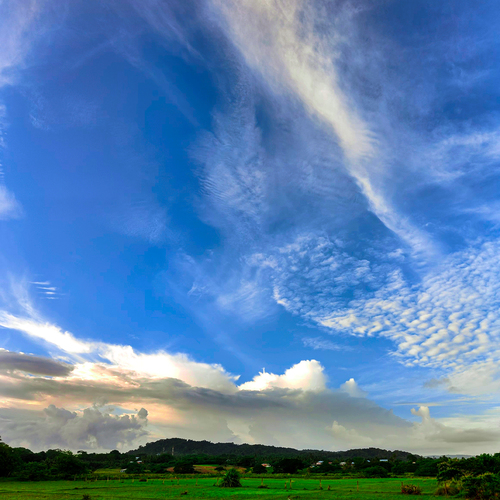Photo #13773876