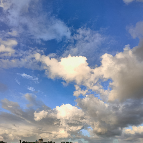 Photo #13773881