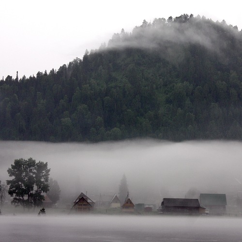 Photo #13773934