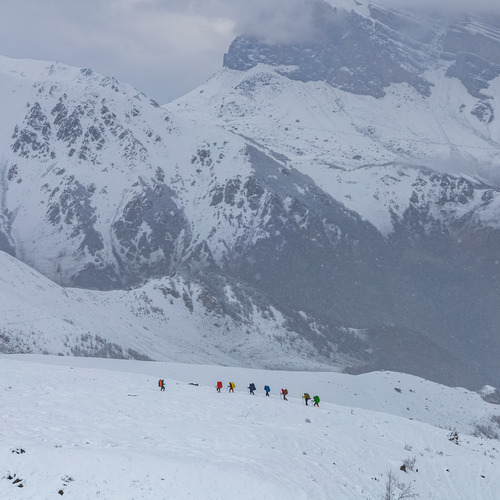 Photo #13773942