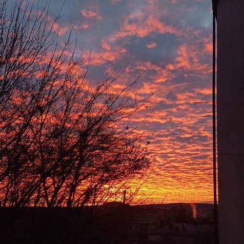 Photo #13773989