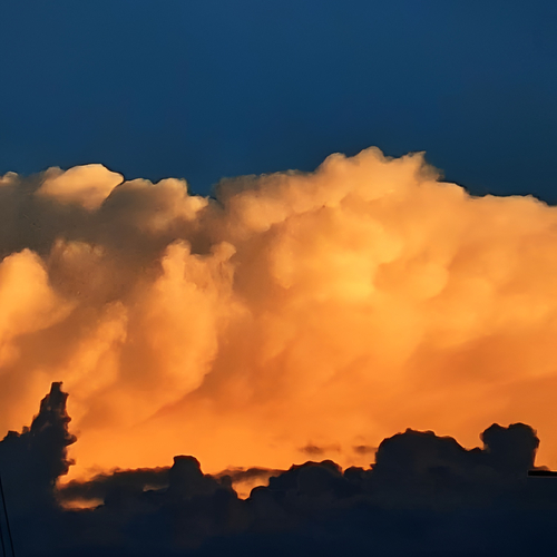 Photo #13773992
